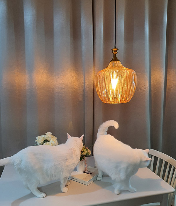 니로 펜던트식탁등, 주방식탁조명, 식탁등